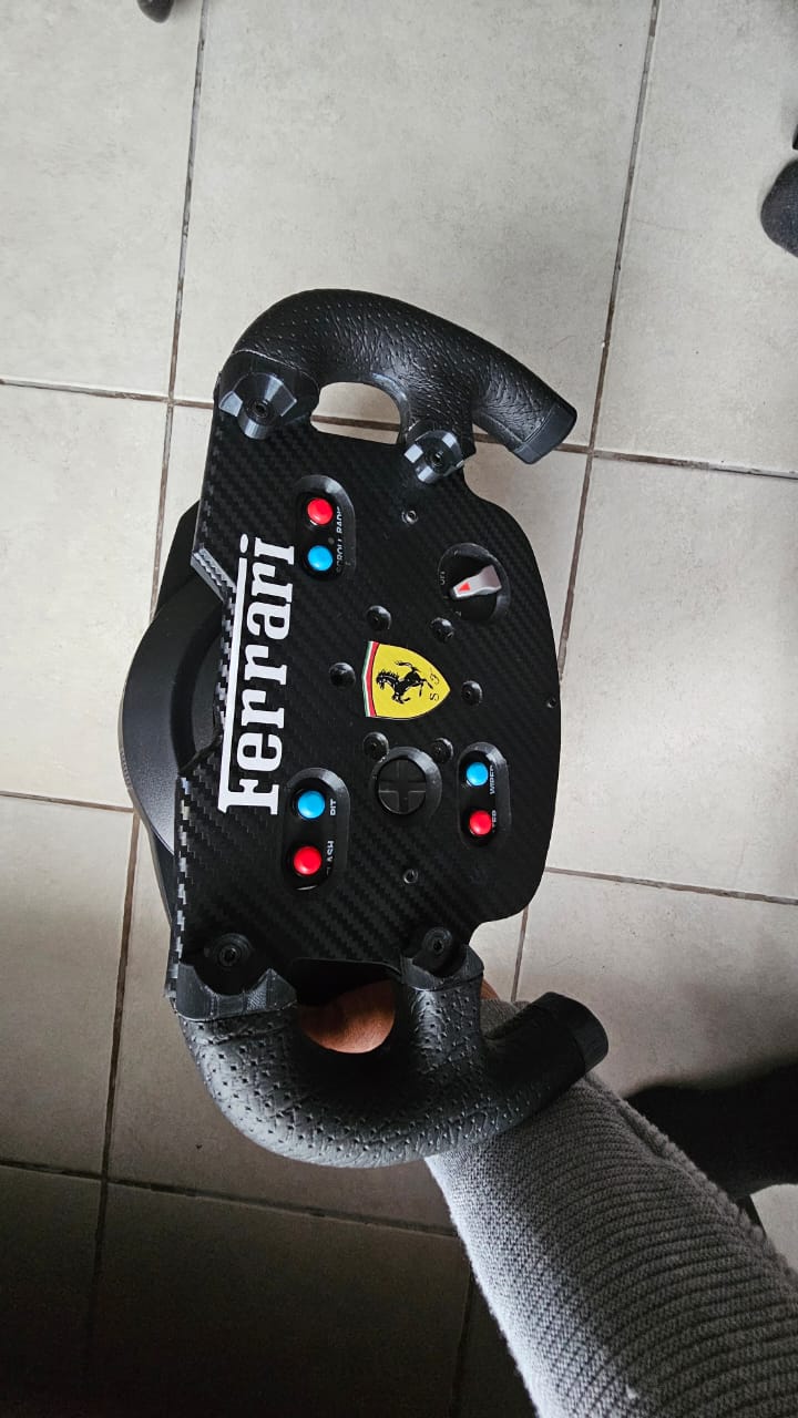 THRUSTMASTER F1 WHEEL MOD