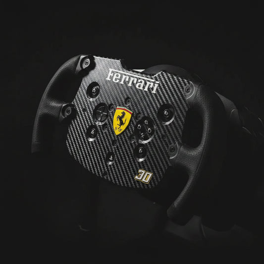 THRUSTMASTER F1 WHEEL MOD